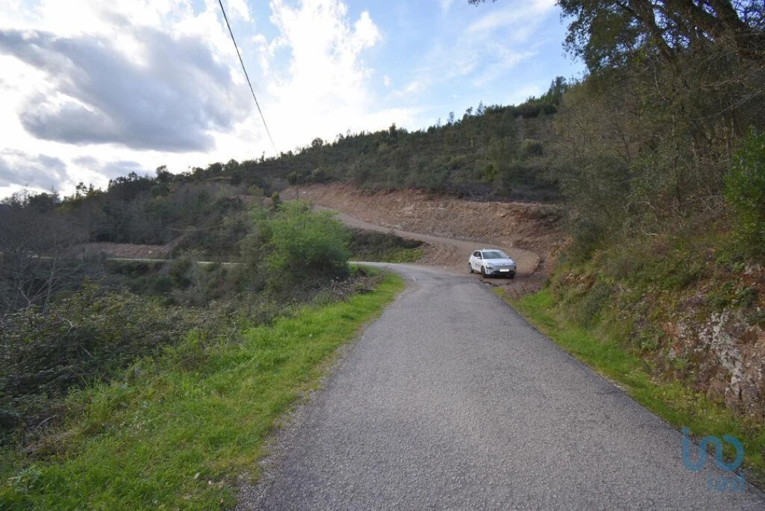 Terreno para Venda em São Miguel, Santa Eufémia e Rabaçal Foto 2