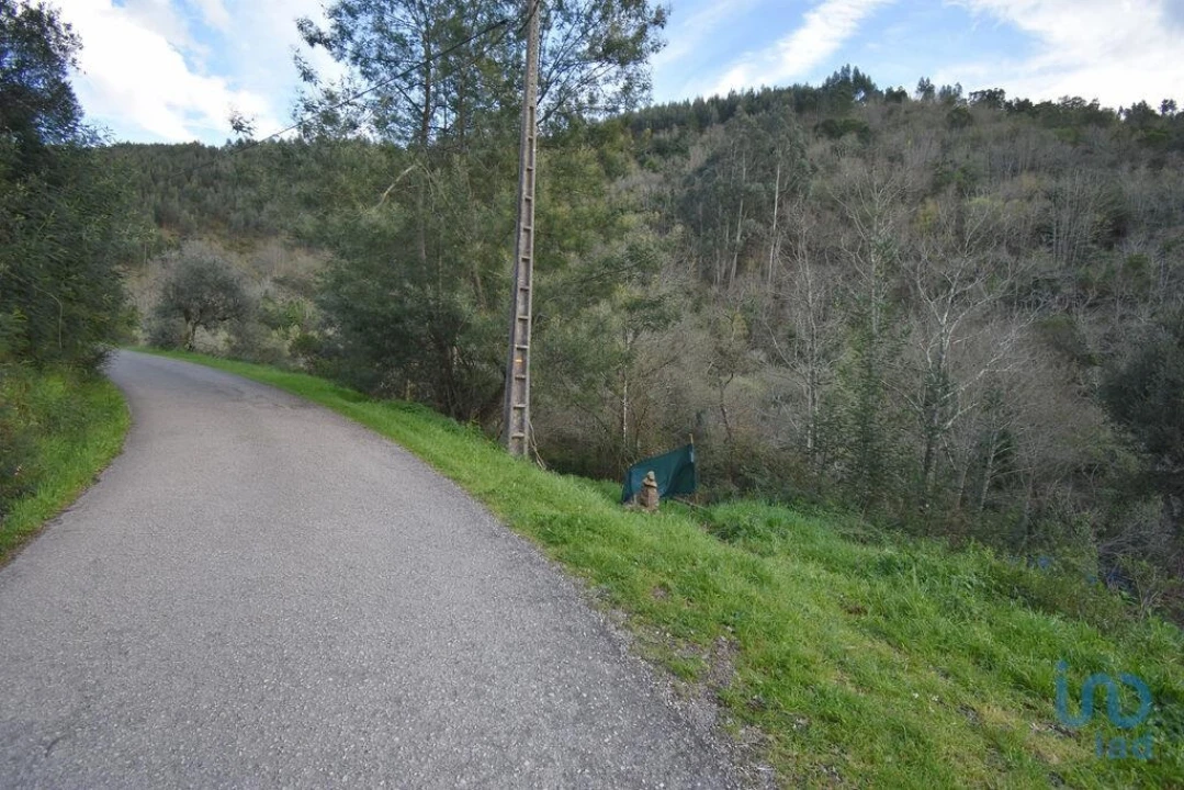 Terreno para Venda em São Miguel, Santa Eufémia e Rabaçal Foto 3
