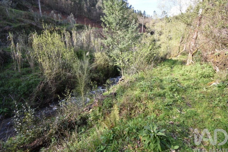 Terreno para Venda em São Miguel, Santa Eufémia e Rabaçal Foto 15