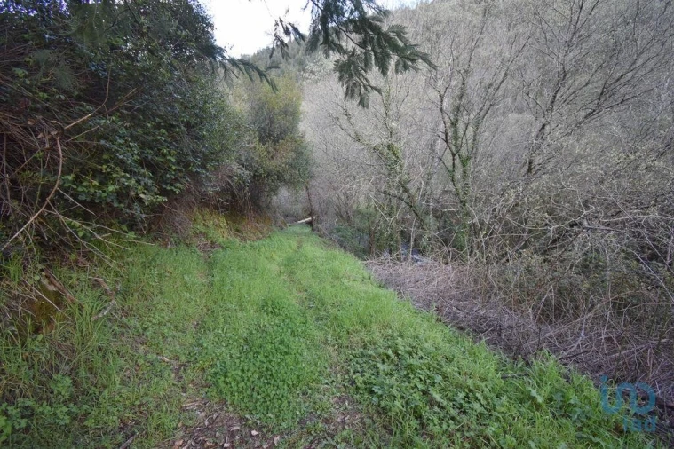 Terreno para Venda em São Miguel, Santa Eufémia e Rabaçal Foto 5