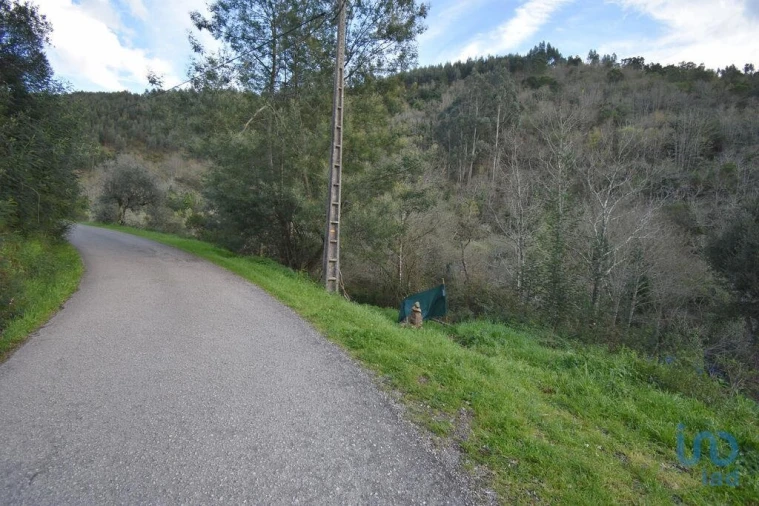 Terreno para Venda em São Miguel, Santa Eufémia e Rabaçal Foto 3