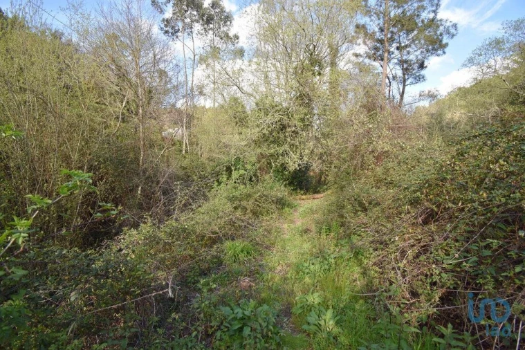 Terreno para Venda em São Miguel, Santa Eufémia e Rabaçal Foto 13