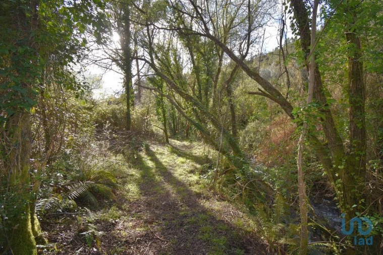 Terreno para Venda em São Miguel, Santa Eufémia e Rabaçal Foto 1