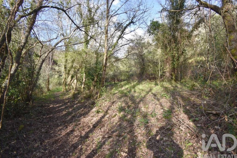 Terreno para Venda em São Miguel, Santa Eufémia e Rabaçal Foto 17