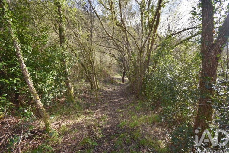 Terreno para Venda em São Miguel, Santa Eufémia e Rabaçal Foto 16