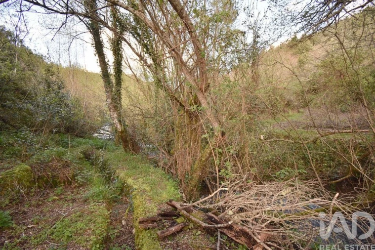 Terreno para Venda em São Miguel, Santa Eufémia e Rabaçal Foto 18