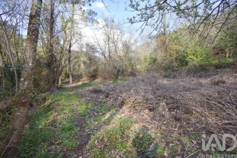 Terreno para Venda em São Miguel, Santa Eufémia e Rabaçal Foto 19