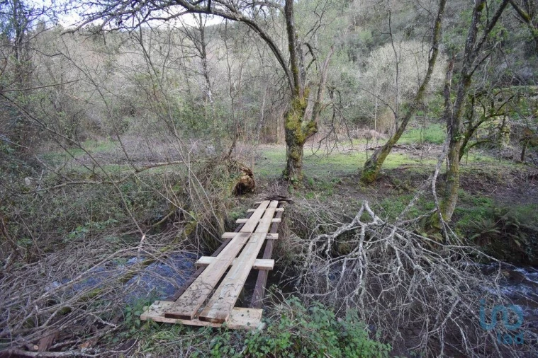 Terreno para Venda em São Miguel, Santa Eufémia e Rabaçal Foto 8