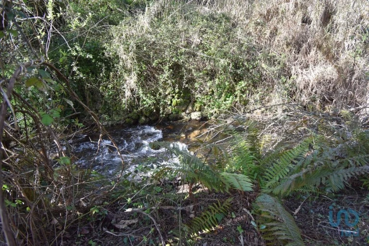 Terreno para Venda em São Miguel, Santa Eufémia e Rabaçal Foto 11