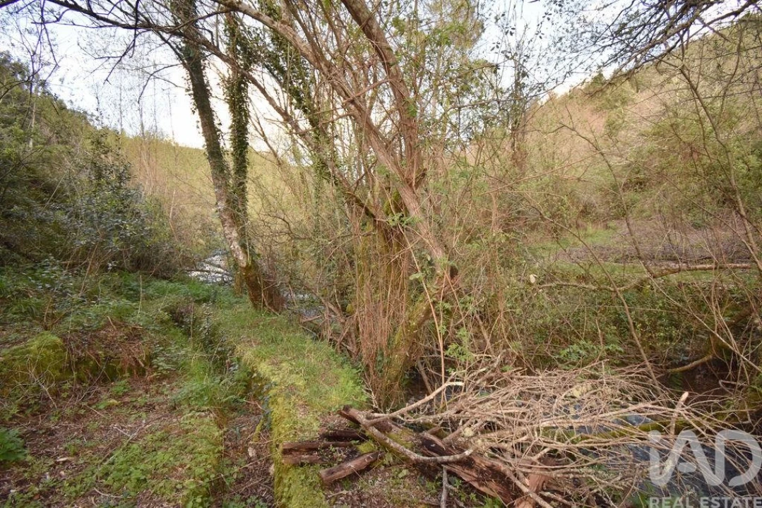 Terreno para Venda em São Miguel, Santa Eufémia e Rabaçal Foto 18