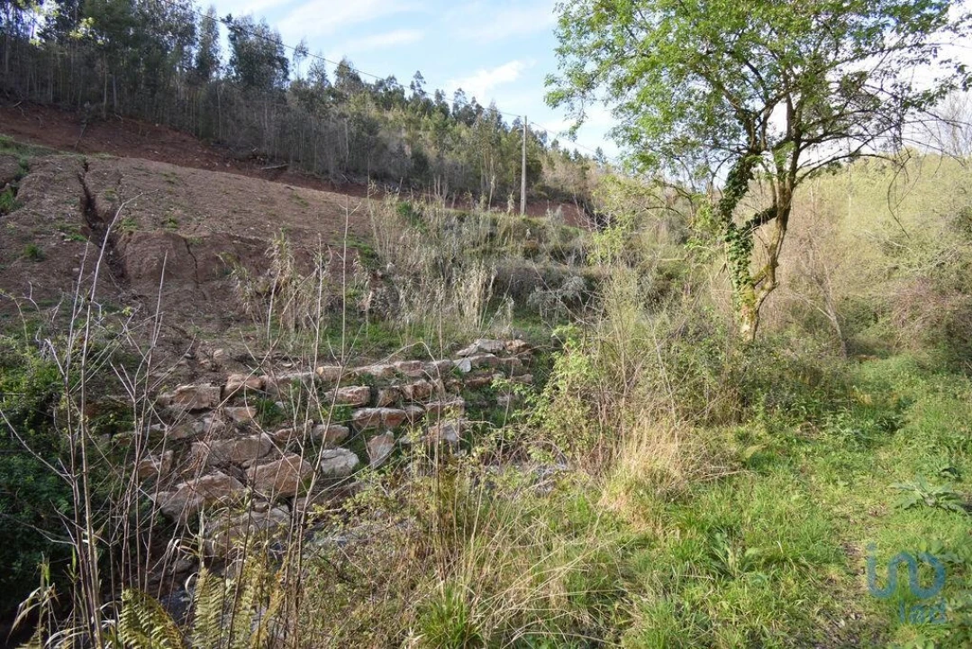 Terreno para Venda em São Miguel, Santa Eufémia e Rabaçal Foto 14