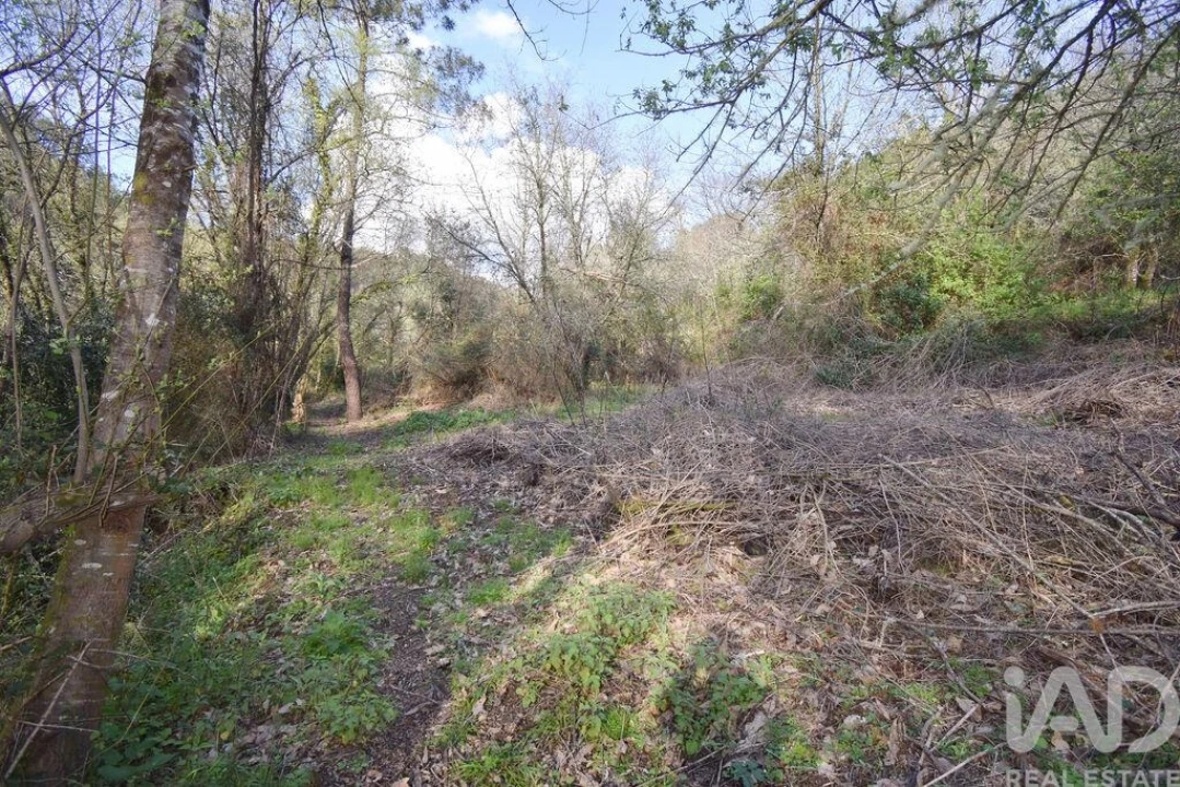 Terreno para Venda em São Miguel, Santa Eufémia e Rabaçal Foto 19