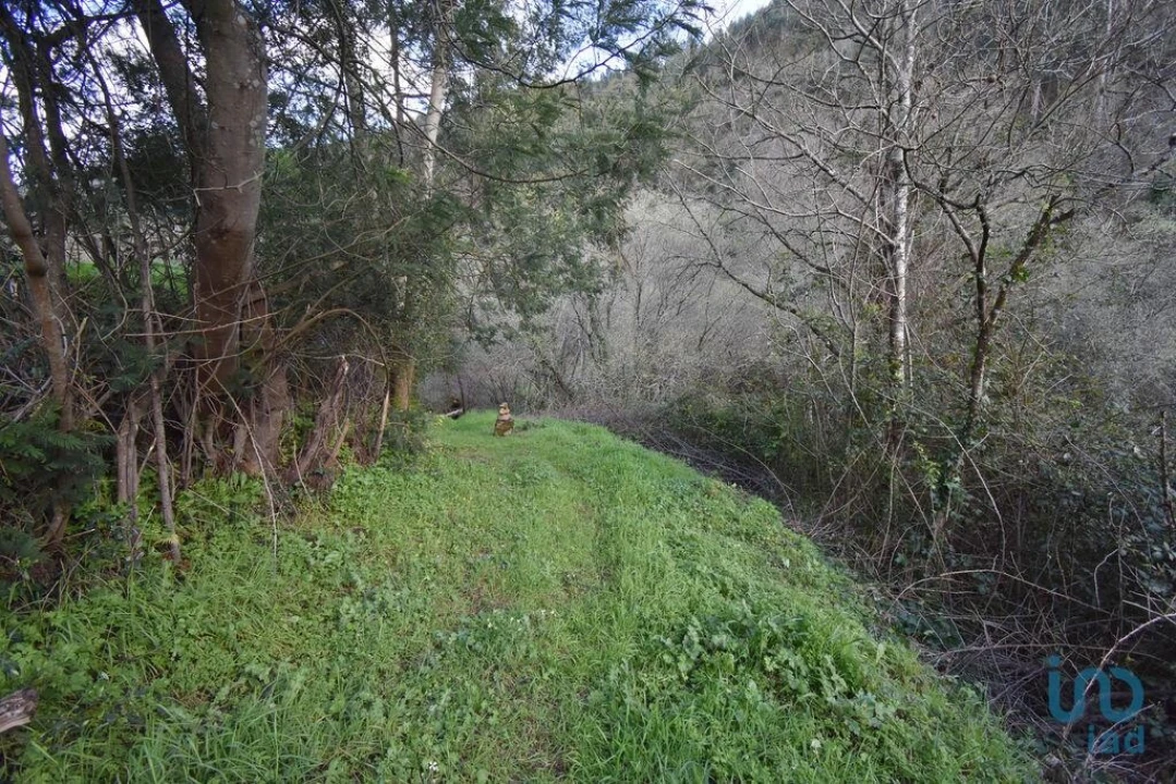 Terreno para Venda em São Miguel, Santa Eufémia e Rabaçal Foto 4