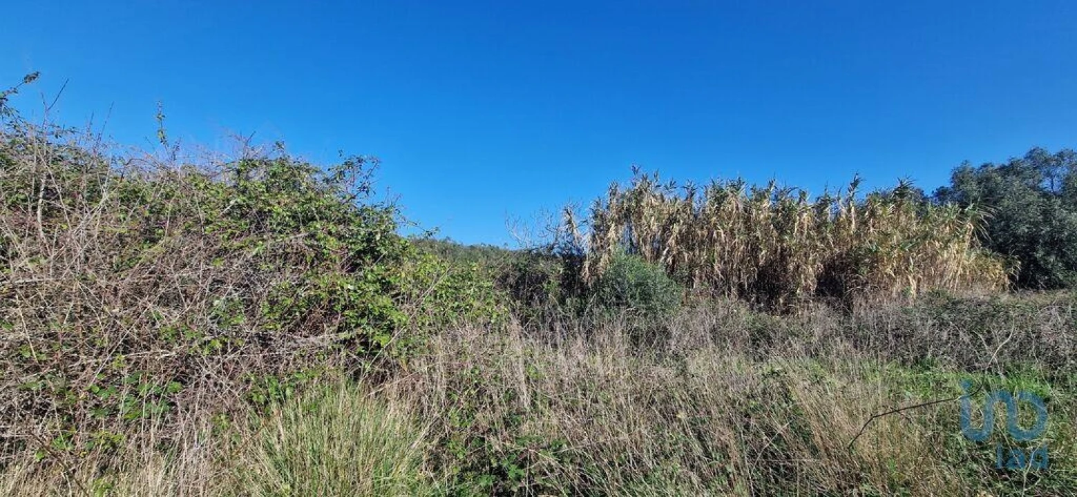 Terreno para Venda em Venda do Pinheiro e Santo Estêvão das Galés Foto 8