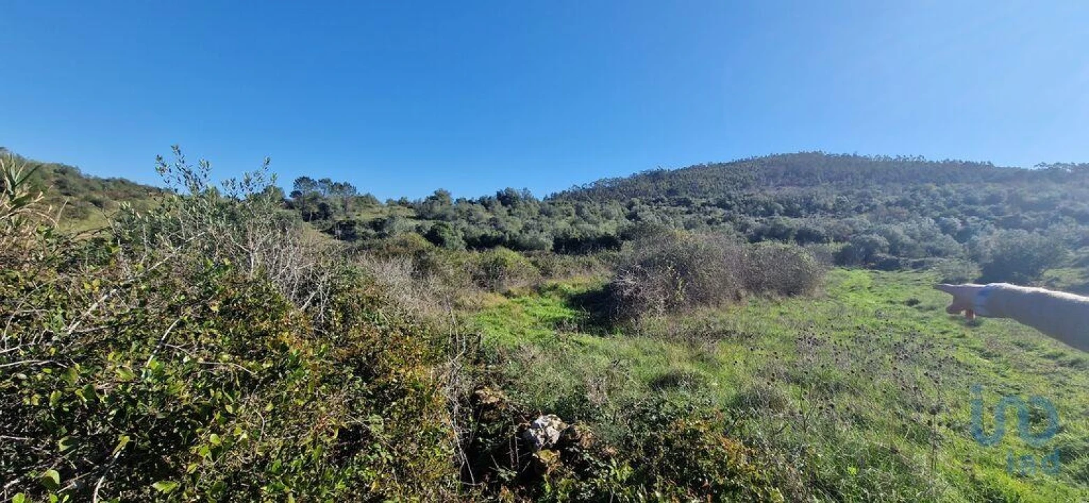 Terreno para Venda em Venda do Pinheiro e Santo Estêvão das Galés Foto 2