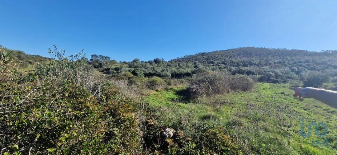 Terreno para Venda em Venda do Pinheiro e Santo Estêvão das Galés Foto 2