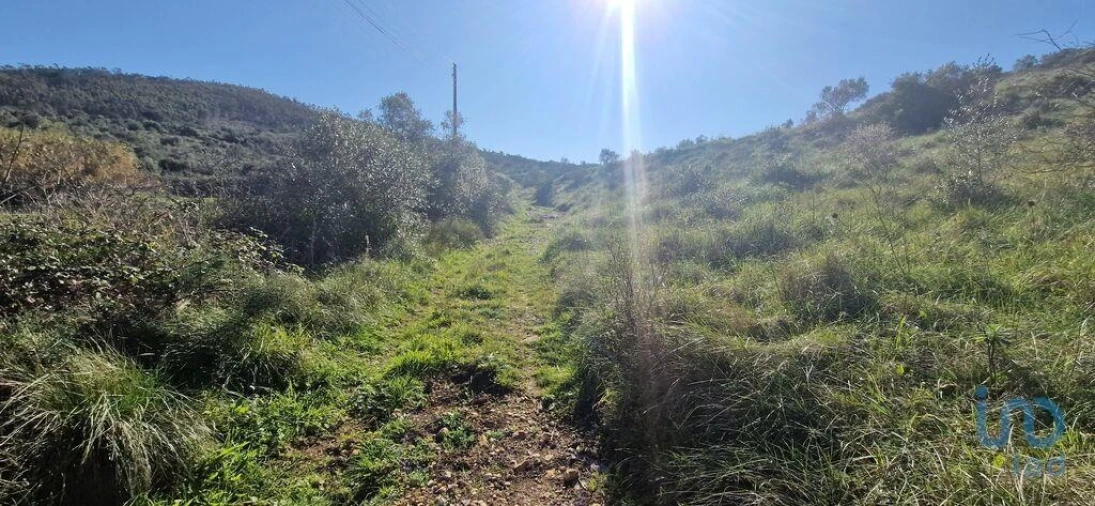 Terreno para Venda em Venda do Pinheiro e Santo Estêvão das Galés Foto 10