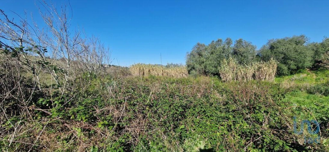 Terreno para Venda em Venda do Pinheiro e Santo Estêvão das Galés Foto 4