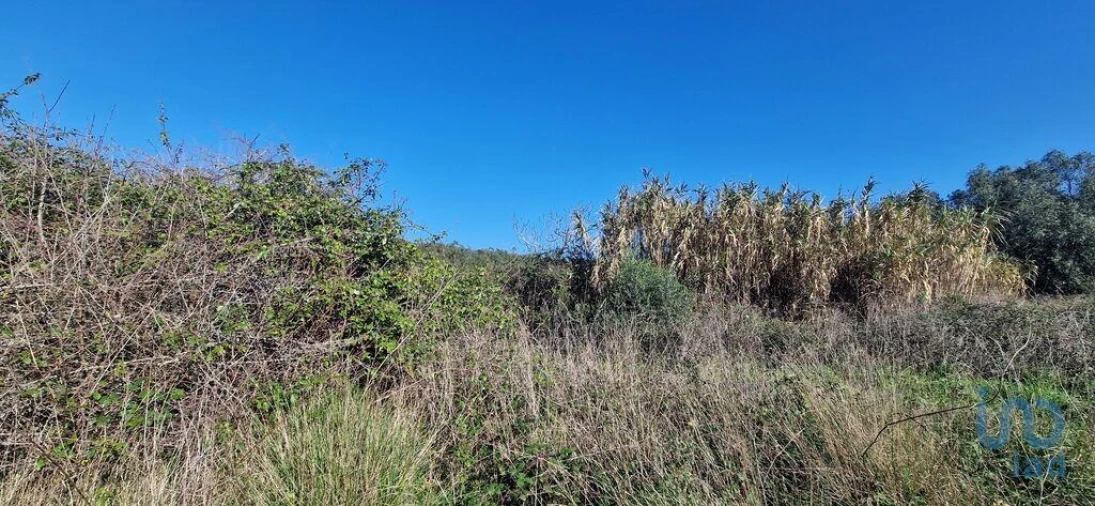 Terreno para Venda em Venda do Pinheiro e Santo Estêvão das Galés Foto 3