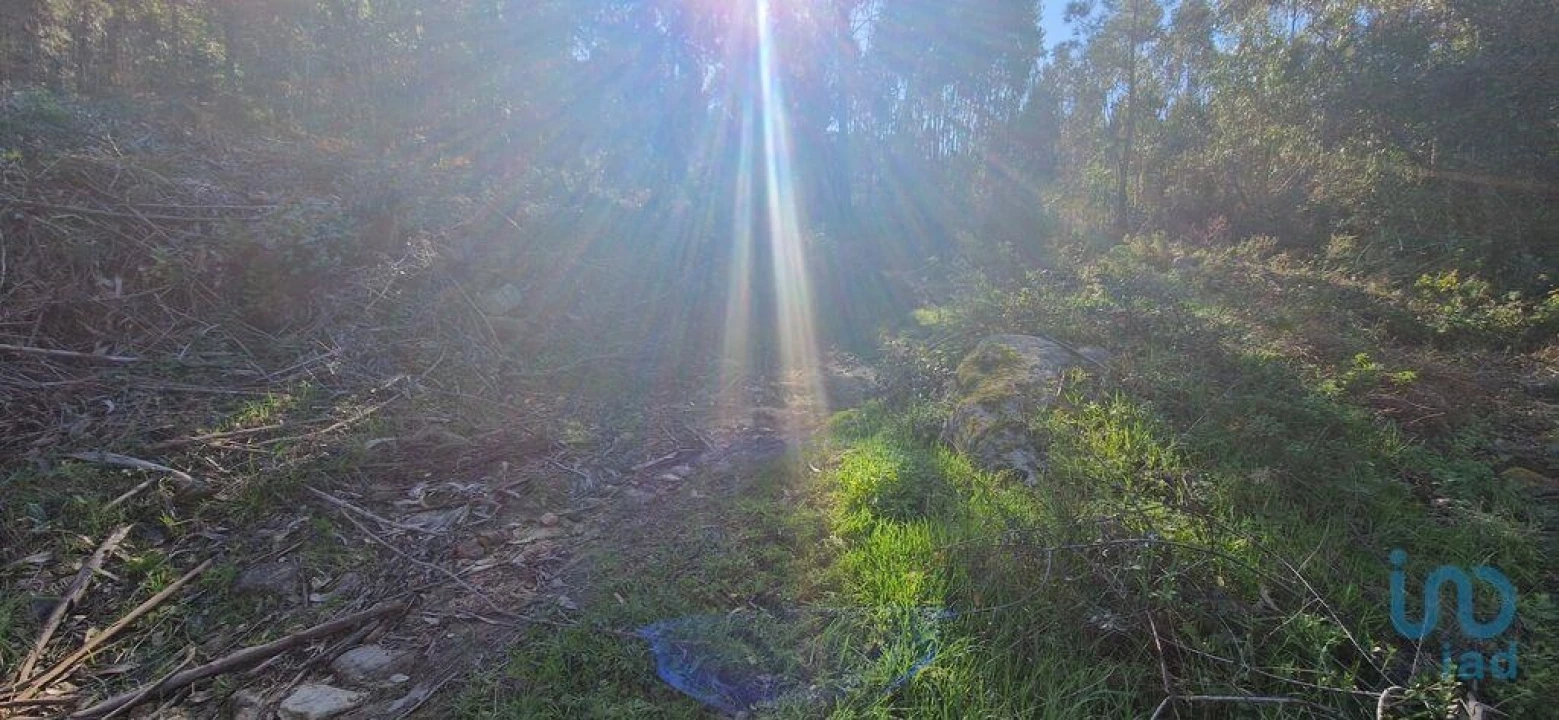 Terreno para Venda em Venda do Pinheiro e Santo Estêvão das Galés Foto 11