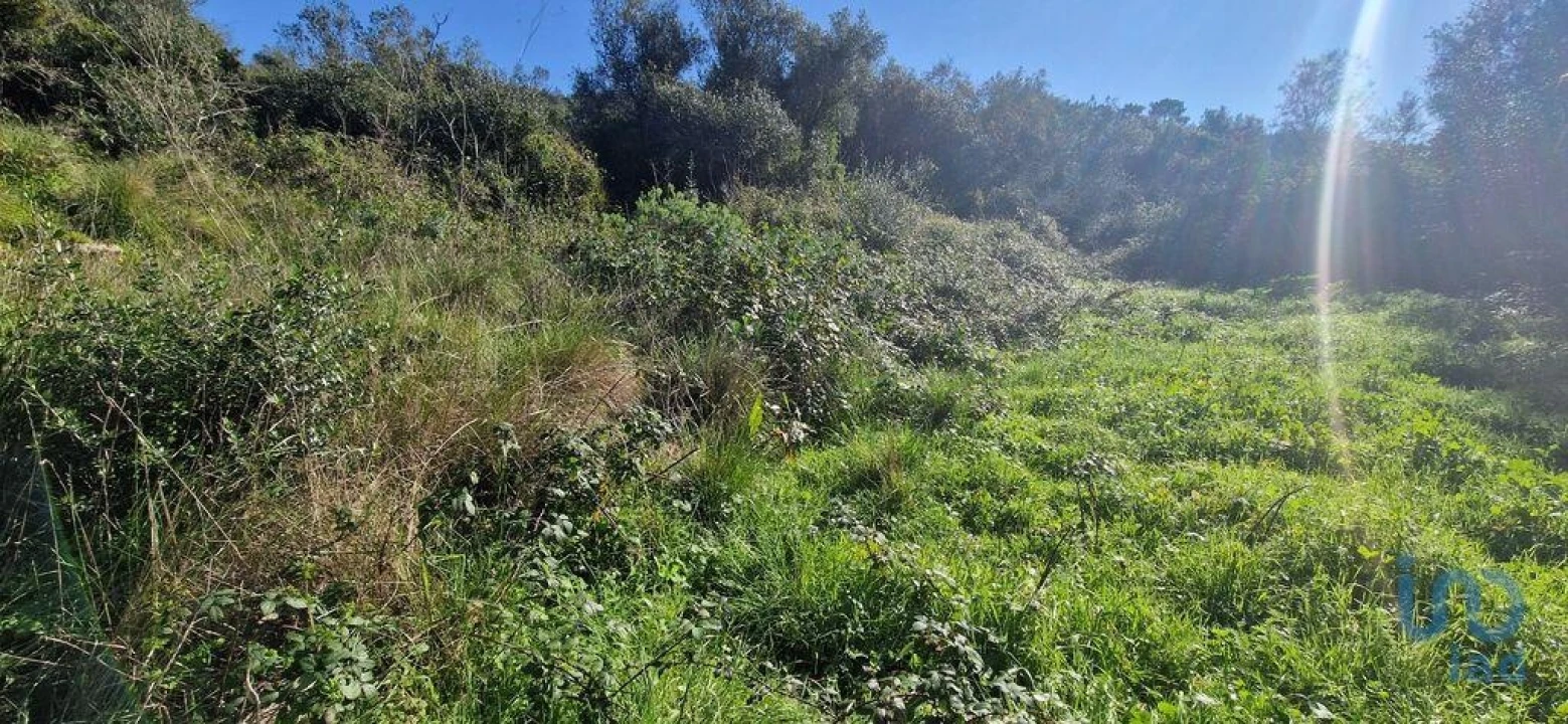 Terreno para Venda em Venda do Pinheiro e Santo Estêvão das Galés Foto 5