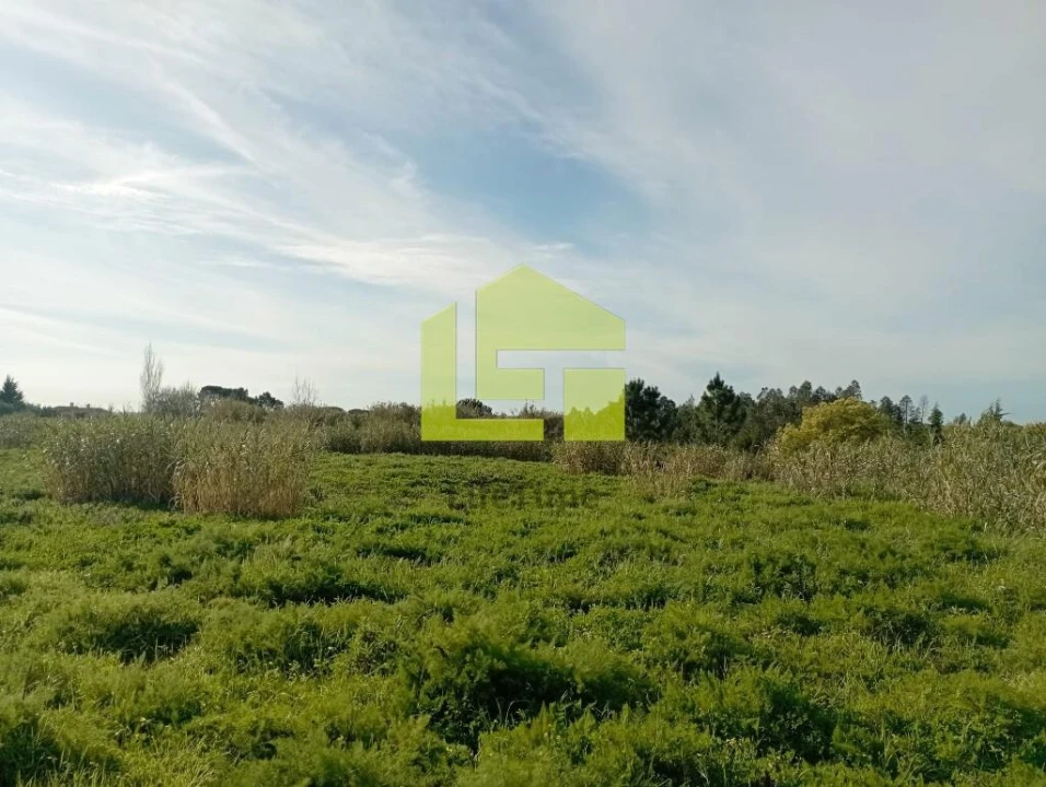 Terreno para Venda em Condeixa-A-Velha e Condeixa-A-Nova Foto 9