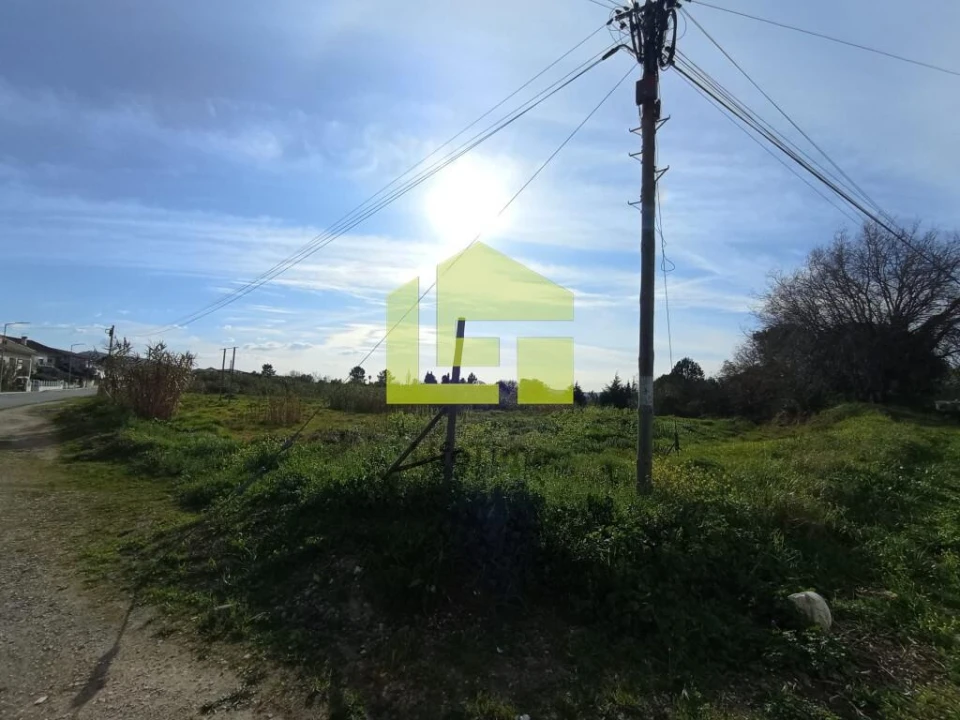 Terreno para Venda em Condeixa-A-Velha e Condeixa-A-Nova Foto 3