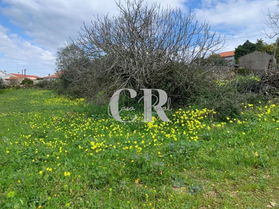 Terreno para Venda em São Miguel, Santa Eufémia e Rabaçal Foto 3