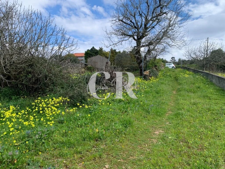 Terreno para Venda em São Miguel, Santa Eufémia e Rabaçal Foto 4
