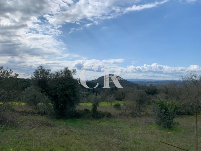 Terreno para Venda em São Miguel, Santa Eufémia e Rabaçal Foto 8