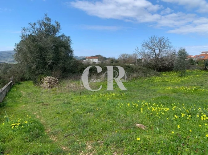 Terreno para Venda em São Miguel, Santa Eufémia e Rabaçal Foto 2