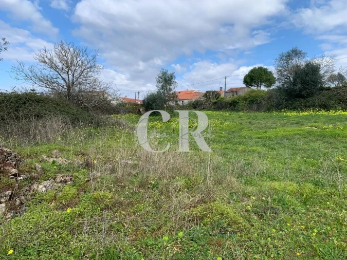Terreno para Venda em São Miguel, Santa Eufémia e Rabaçal Foto 10