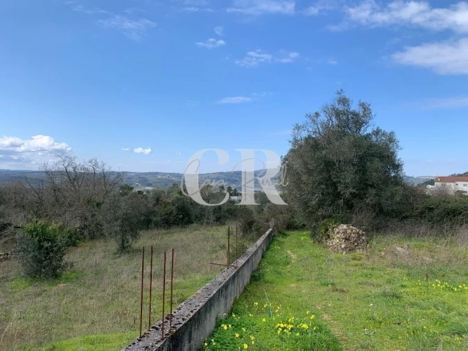 Terreno para Venda em São Miguel, Santa Eufémia e Rabaçal Foto 7