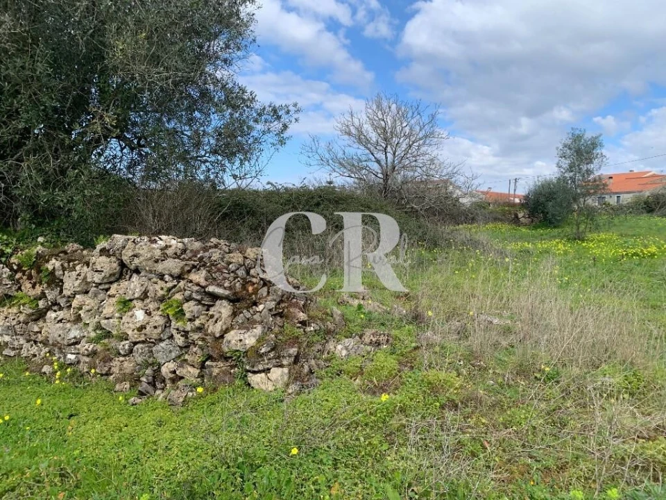 Terreno para Venda em São Miguel, Santa Eufémia e Rabaçal Foto 9