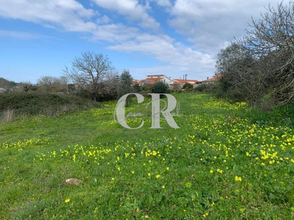 Terreno para Venda em São Miguel, Santa Eufémia e Rabaçal Foto 1