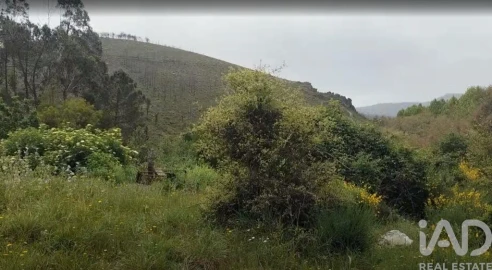 Terreno para Venda em Luzim e Vila Cova
