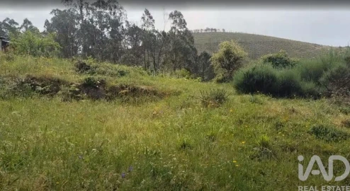 Terreno para Venda em Luzim e Vila Cova