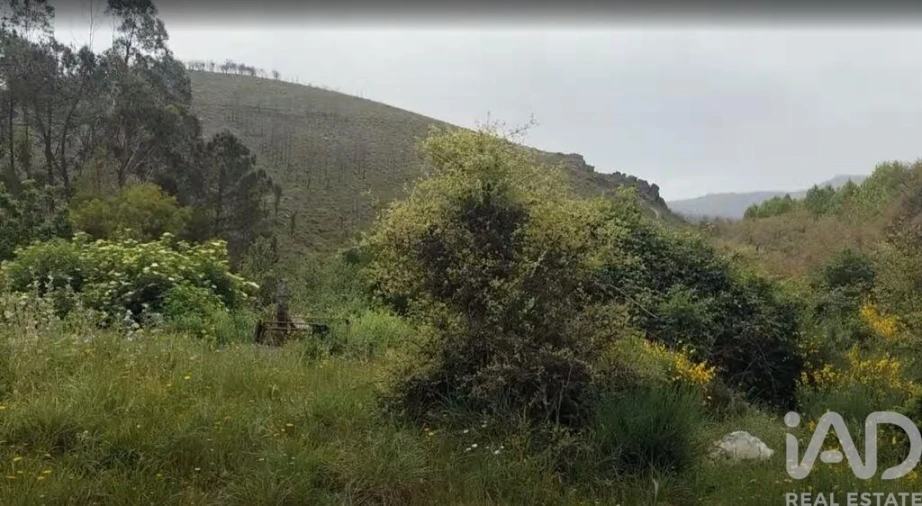 Terreno para Venda em Luzim e Vila Cova Foto 9