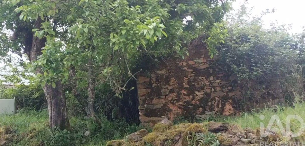 Terreno para Venda em Luzim e Vila Cova Foto 7