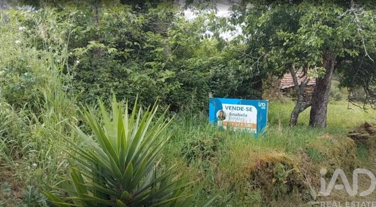 Terreno para Venda em Luzim e Vila Cova Foto 12