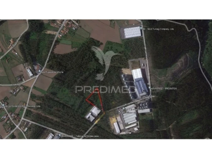 Terreno para Venda em Loureiro Foto 4