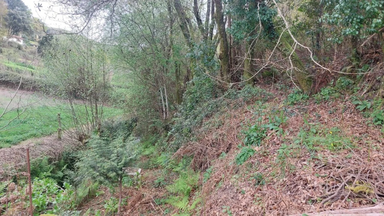 Terreno para Venda em Caldelas, Sequeiros e Paranhos Foto 1