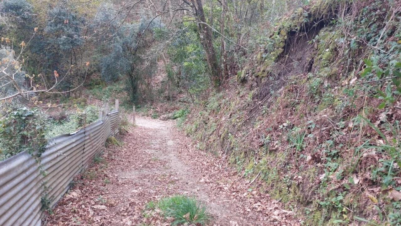 Terreno para Venda em Caldelas, Sequeiros e Paranhos Foto 14
