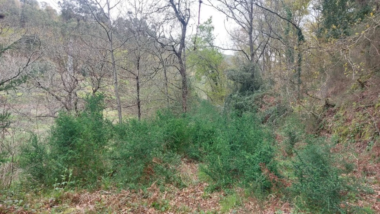 Terreno para Venda em Caldelas, Sequeiros e Paranhos Foto 4
