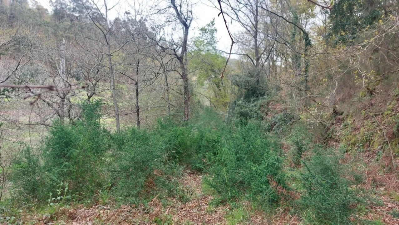 Terreno para Venda em Caldelas, Sequeiros e Paranhos Foto 5