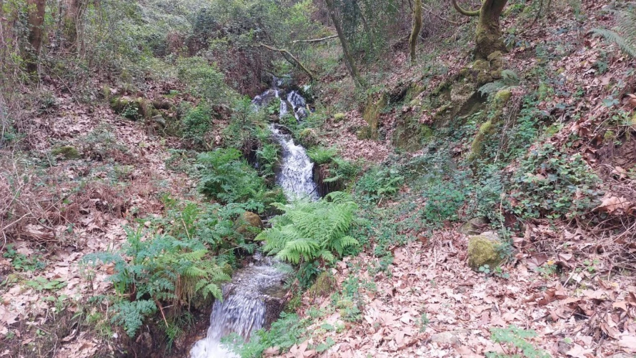 Terreno para Venda em Caldelas, Sequeiros e Paranhos Foto 13