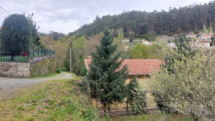Terreno para Venda em Caldelas, Sequeiros e Paranhos Foto 16