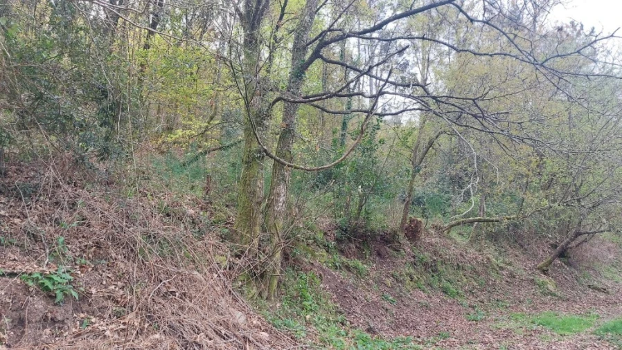 Terreno para Venda em Caldelas, Sequeiros e Paranhos Foto 2