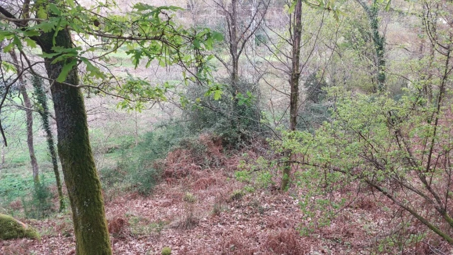 Terreno para Venda em Caldelas, Sequeiros e Paranhos Foto 7