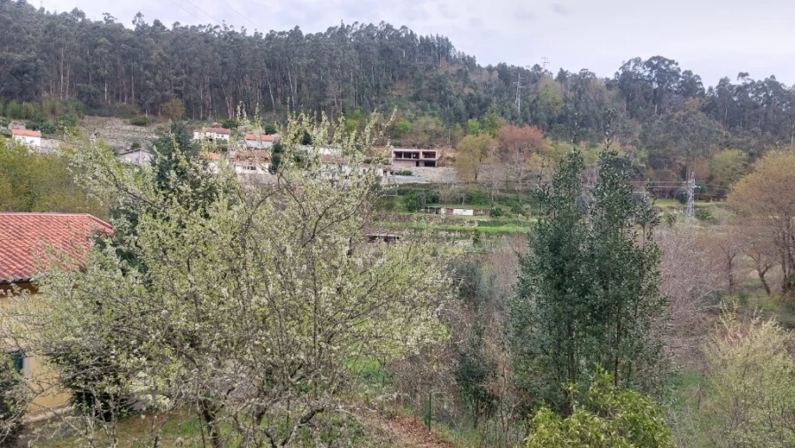 Terreno para Venda em Caldelas, Sequeiros e Paranhos Foto 15